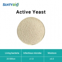Активные дрожжи (Saccharomyces cerevisiae)